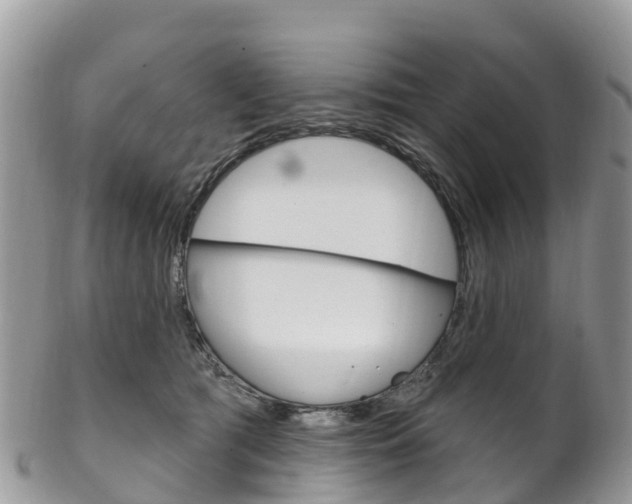 X0000102790417200808180958