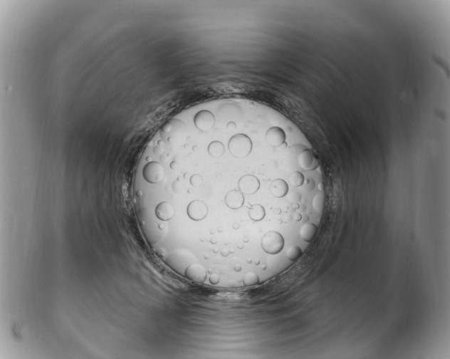 X0000102790418200808180958