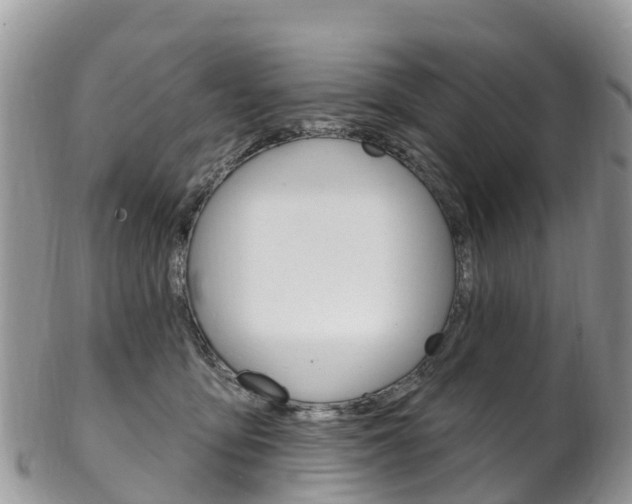 X0000102790419200808180958