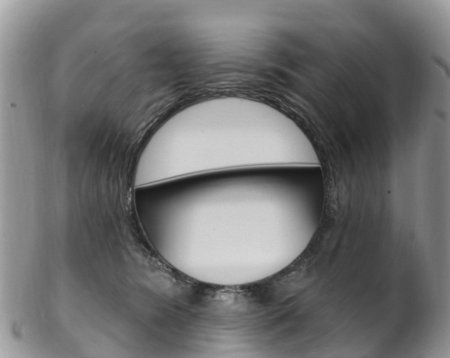 X0000102790420200808180958