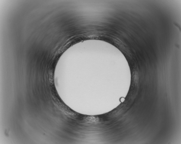X0000102790421200808180958