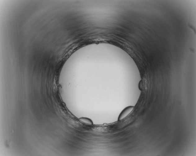 X0000102790422200808180958