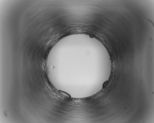 X0000102790423200808180958