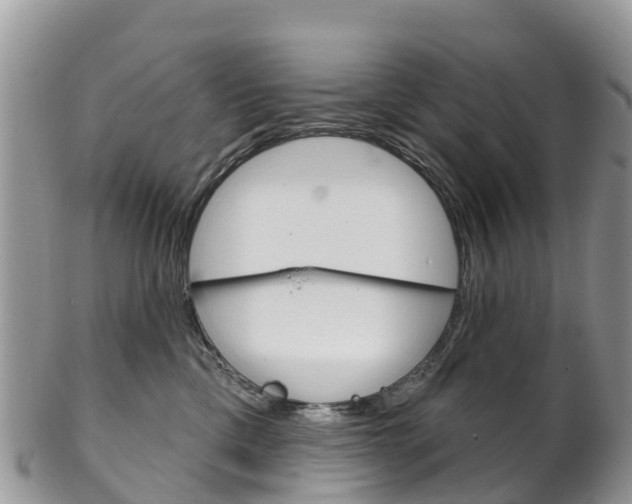X0000102790425200808180958