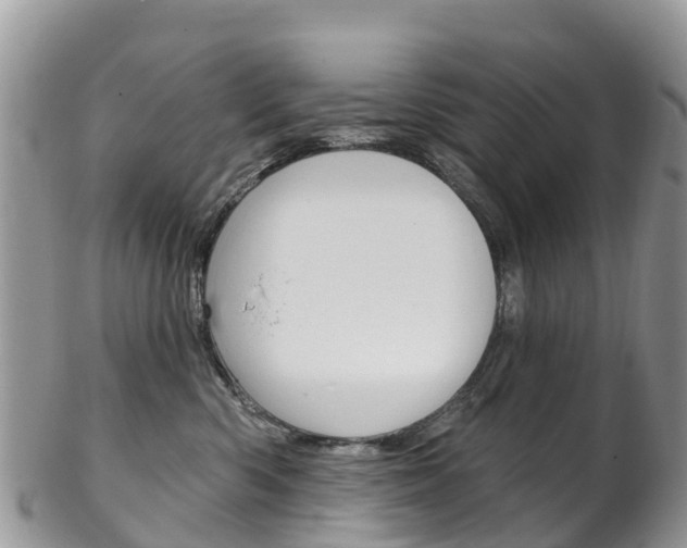 X0000102790426200808180958