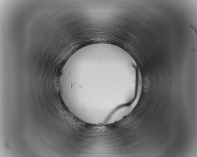 X0000102790428200808180958