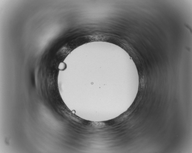 X0000102790429200808180958