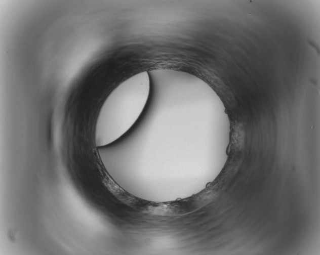 X0000102790430200808180958