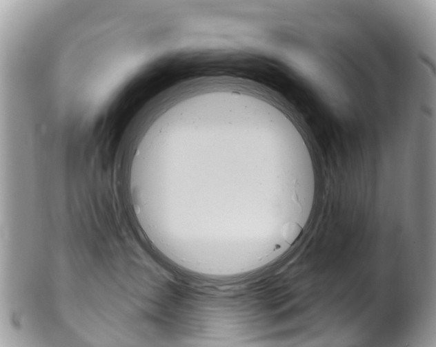 X0000102790431200808180958