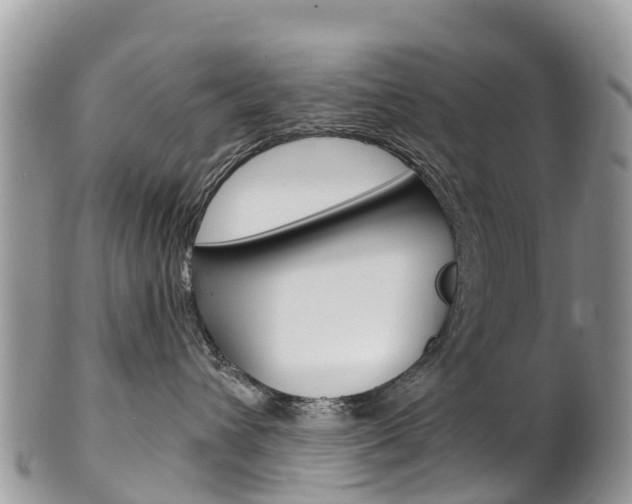 X0000102790432200808180958