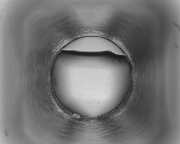 X0000102790433200808180957