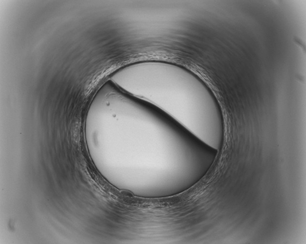 X0000102790434200808180957