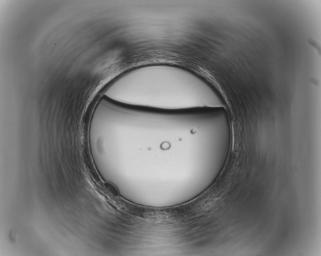 X0000102790435200808180957