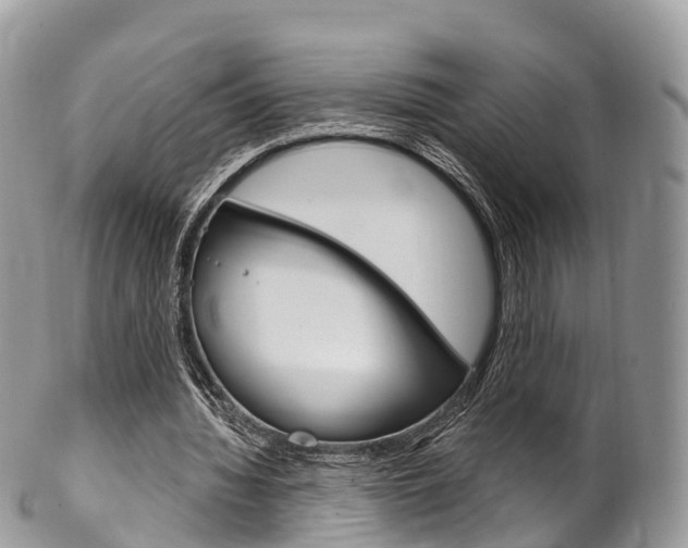 X0000102790436200808180957