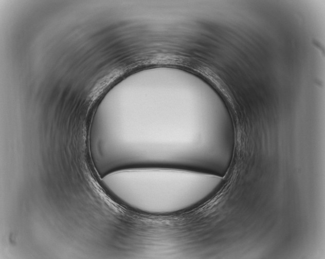 X0000102790437200808180957