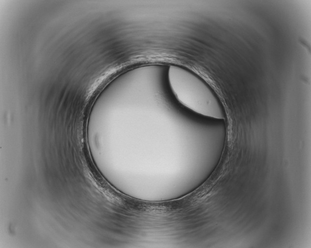 X0000102790438200808180957