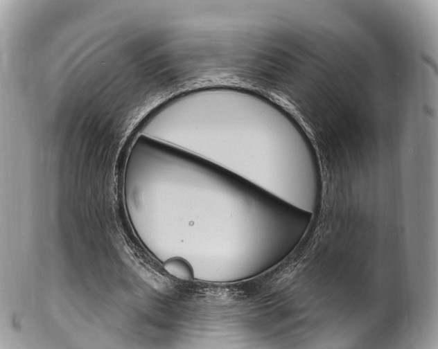 X0000102790439200808180957