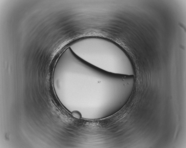 X0000102790440200808180957