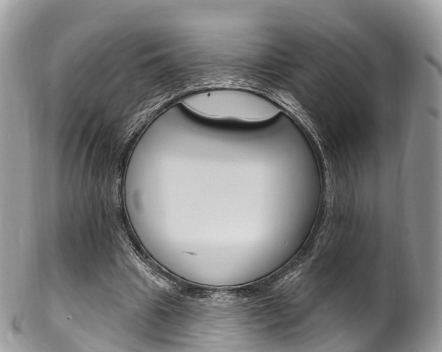 X0000102790441200808180957