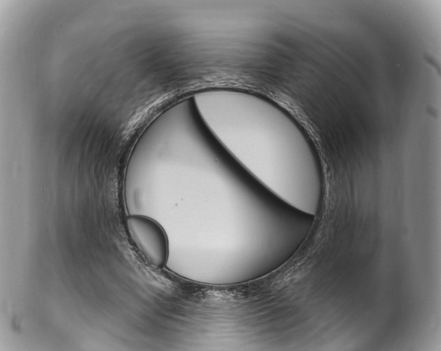 X0000102790442200808180957