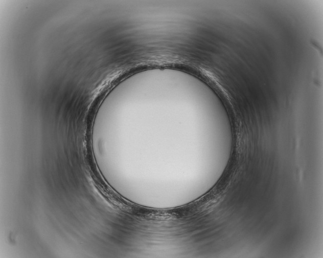 X0000102790443200808180957