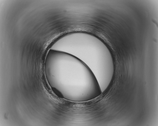 X0000102790444200808180957