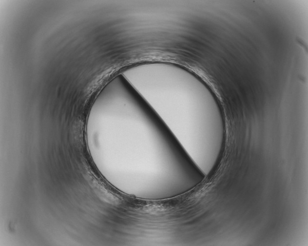 X0000102790445200808180957