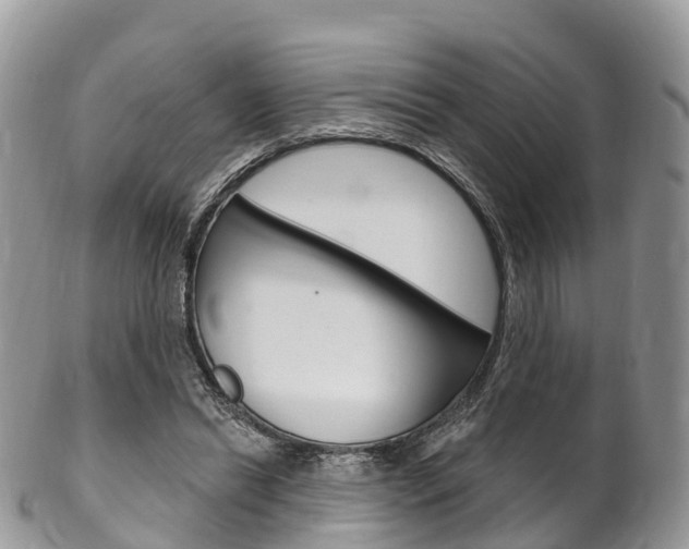 X0000102790446200808180957