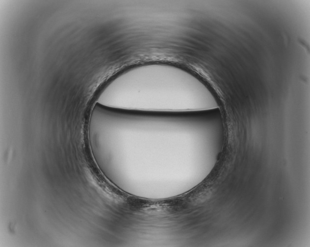 X0000102790447200808180957