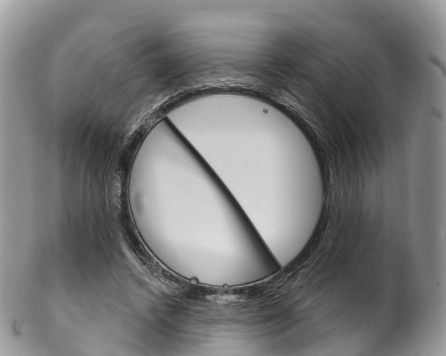X0000102790448200808180957