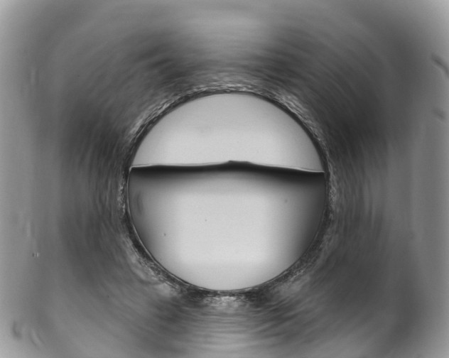 X0000102790449200808180957
