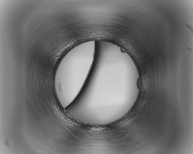 X0000102790450200808180957