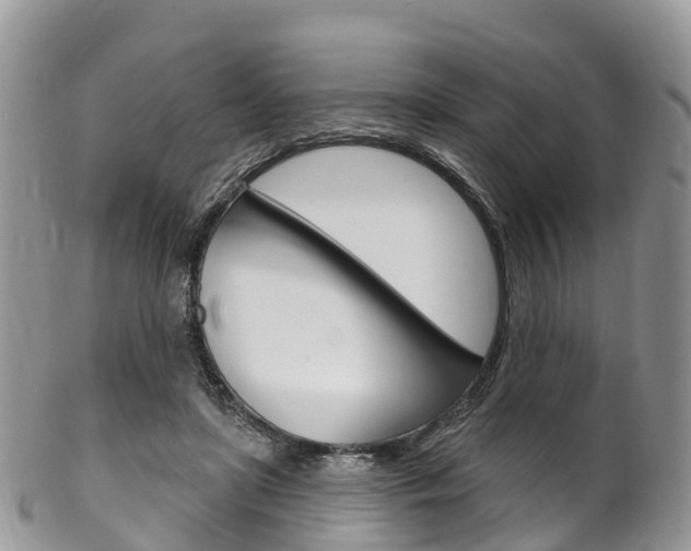 X0000102790451200808180957