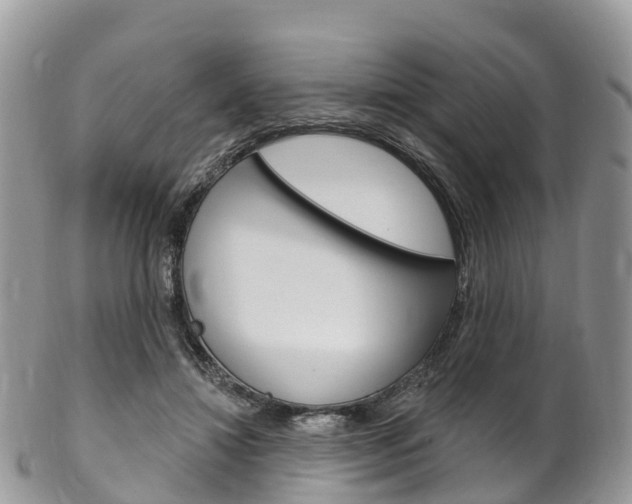 X0000102790452200808180957
