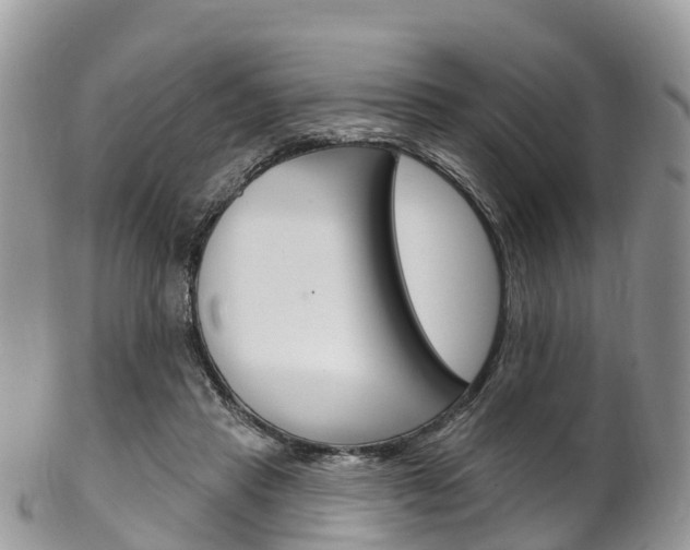 X0000102790453200808180957