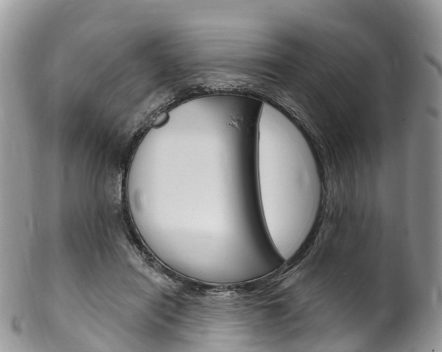 X0000102790454200808180957