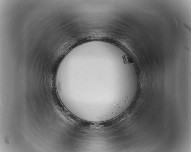 X0000102790455200808180957