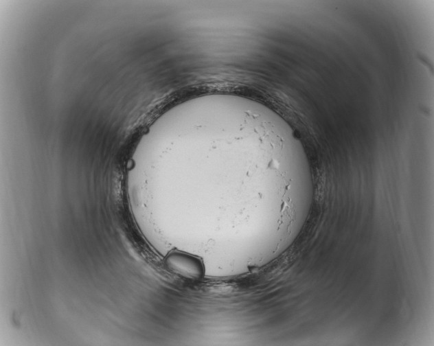 X0000102790456200808180957