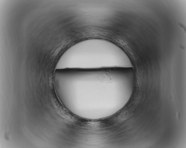 X0000102790457200808180957