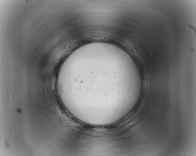 X0000102790458200808180957