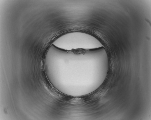 X0000102790459200808180957