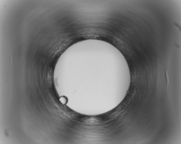 X0000102790460200808180957
