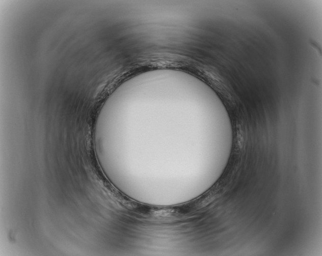 X0000102790461200808180957