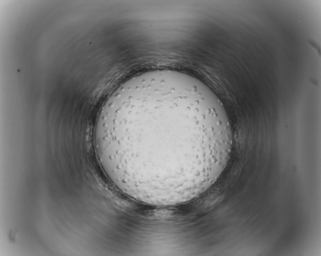 X0000102790462200808180957