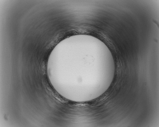 X0000102790465200808180957