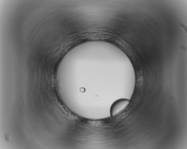 X0000102790469200808180957
