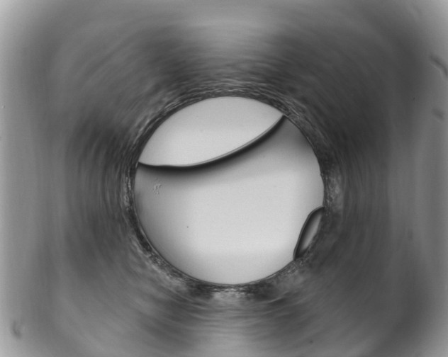 X0000102790470200808180957