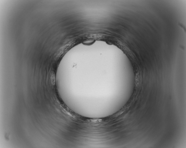 X0000102790474200808180958