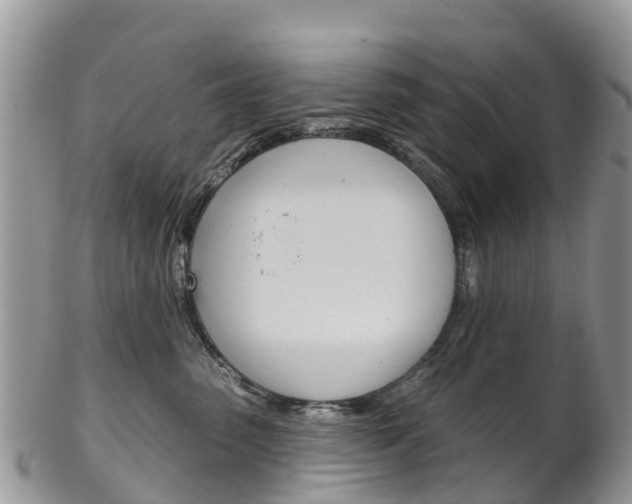 X0000102790475200808180958