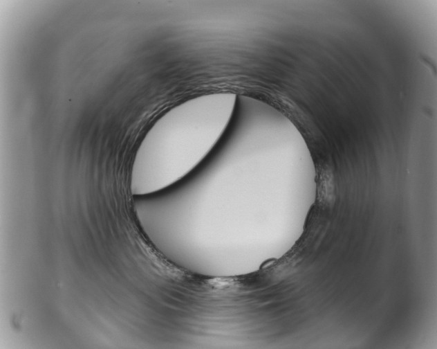 X0000102790477200808180958